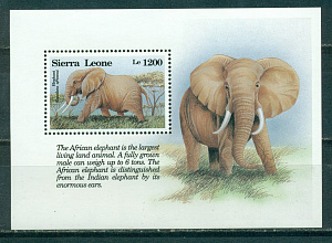Сьерра-Леоне, 1993, Фауна Африки, Слон, блок